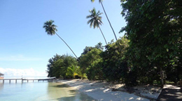 Liburan ke Ora Beach, Maluku - Paket liburan ke Ora Beach
