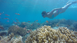 Liburan ke Ora Beach, Maluku - Paket liburan ke Ora Beach
